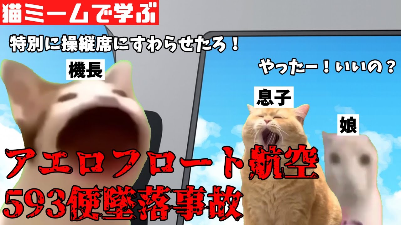 猫ミームで学ぶアエロフロート航空593便墜落事故 #猫マニ #猫ミーム