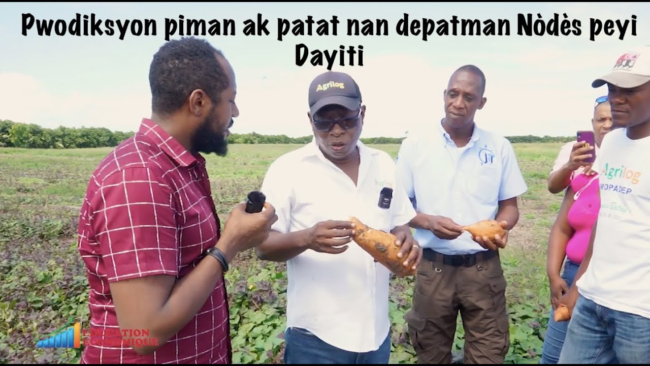 Pwodiksyon piman ak patat nan depatman Nòdès peyi Dayiti