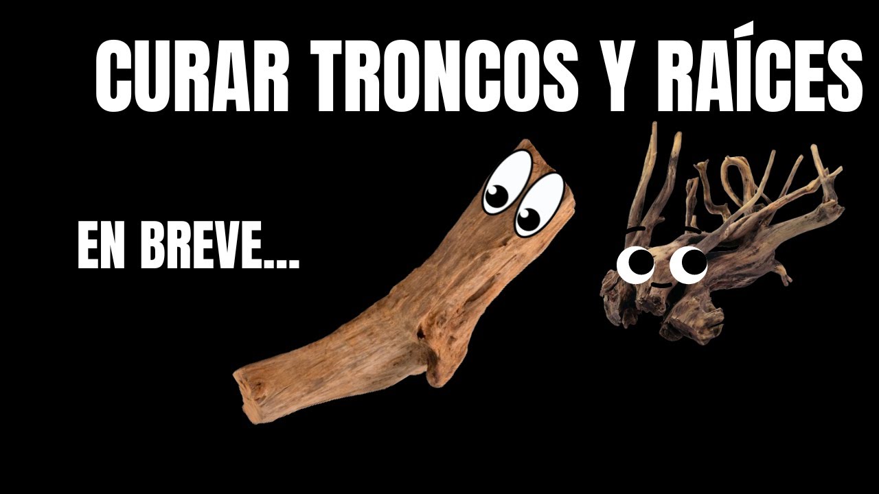 Maderas en el acuario