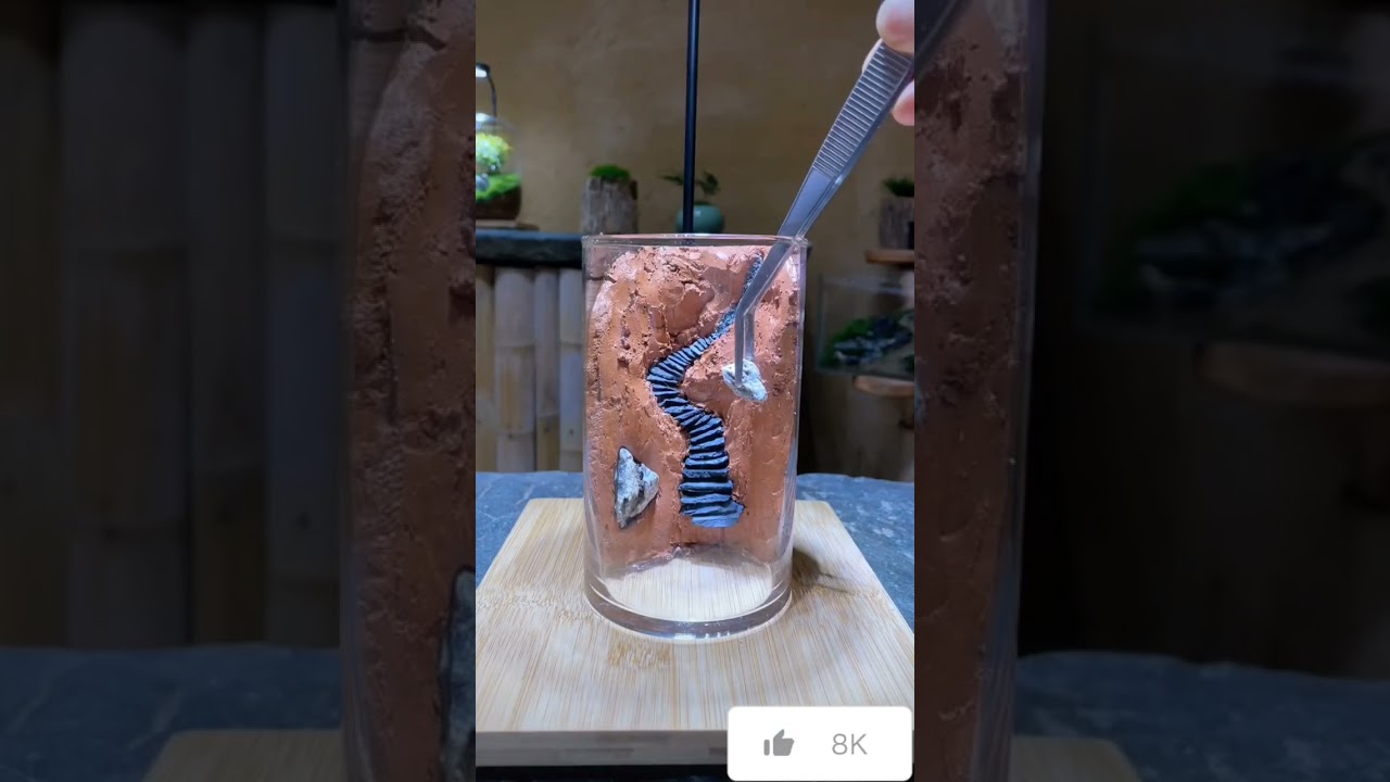 Natural Plants#naturalplants #nature #trendingshot #amazing