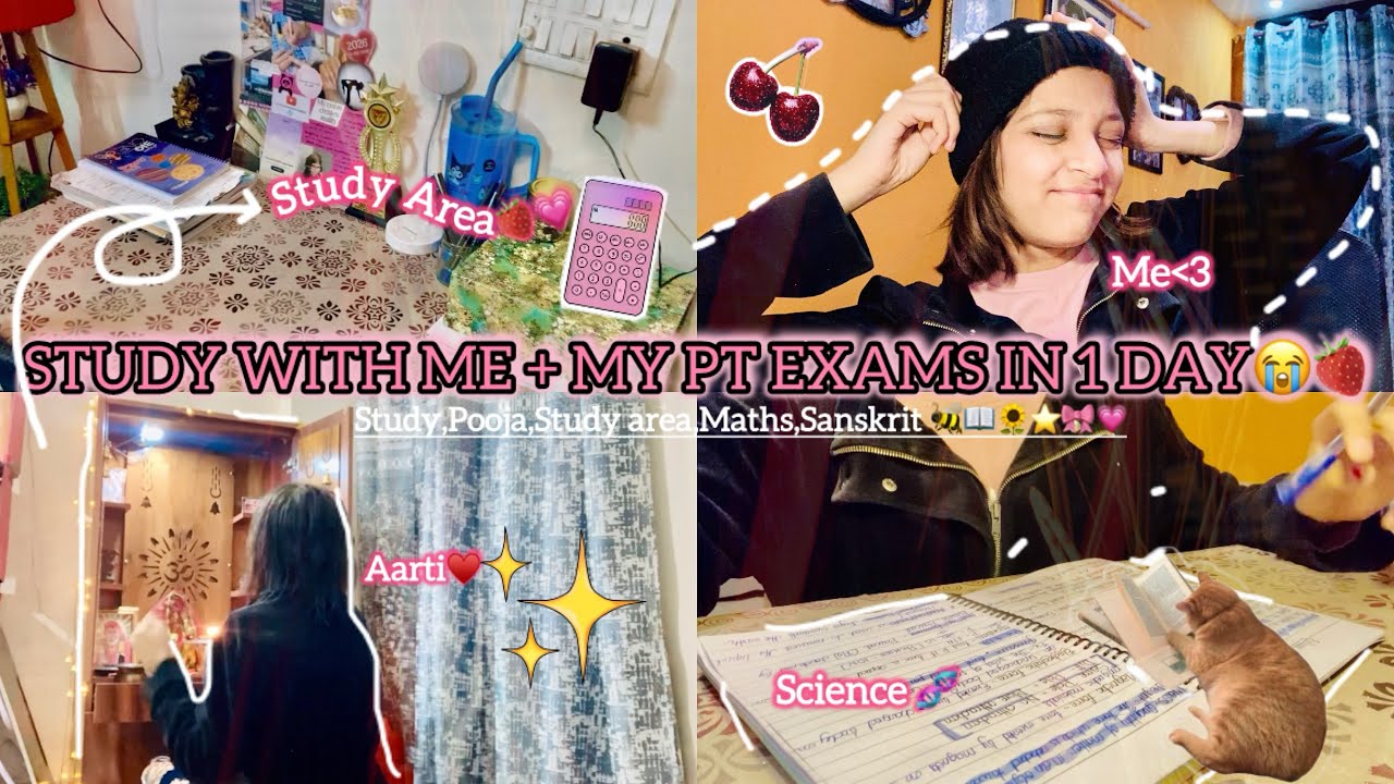 Study with me + My *PT EXAMS* In Just *1DAY*📖💗🐝✨