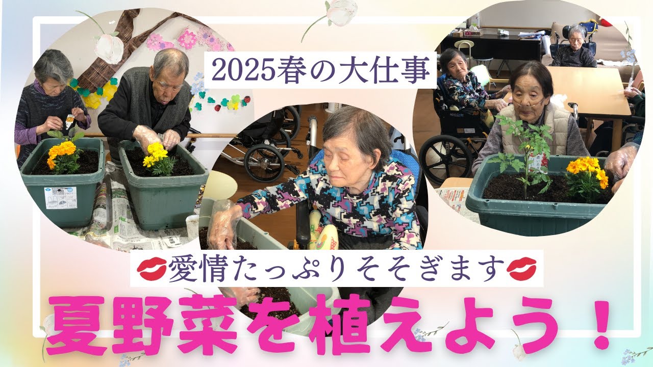 夏野菜つくり　花いち農園　2025