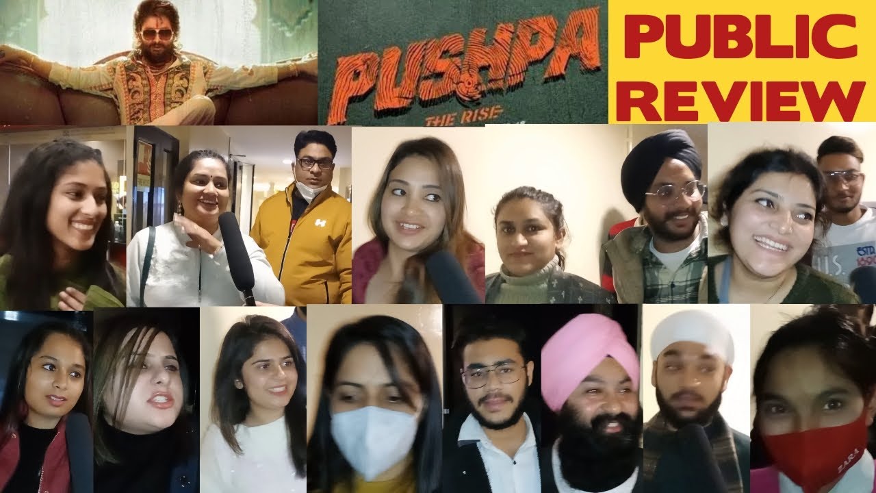 Pushpa: The Rise Public  Review | Pushpa Public Reaction | Allu Arjun | Rashmika Mandanna | Punjabi