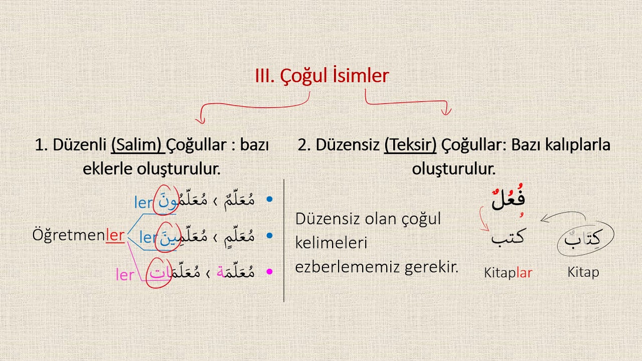 Kısa Kısa & Çoğul İsimler (جمع)