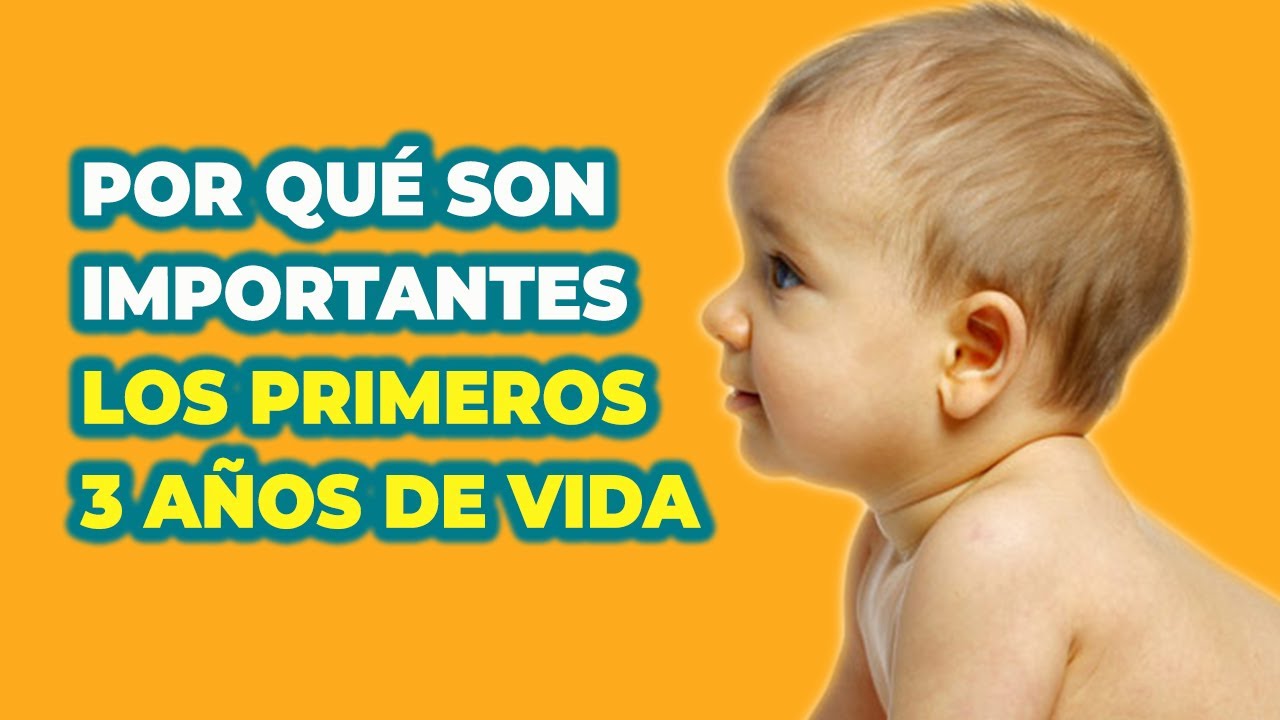 NEURODESARROLLO DE LOS 3 PRIMEROS AÑOS DE VIDA - IMPORTANCIA DE LOS PRIMEROS 3 AÑOS DE VIDA