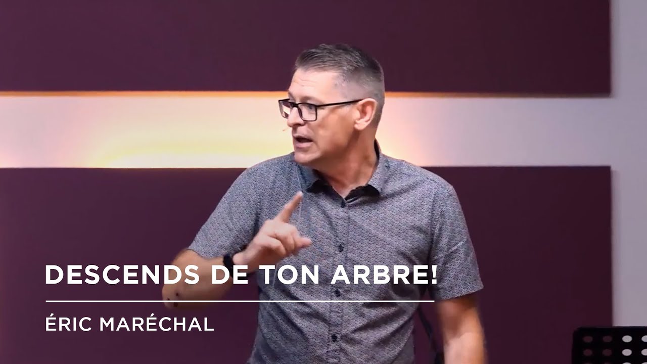 Descends de ton arbre !