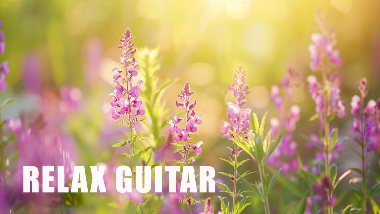 12 Hours of Relaxing Guitar Music | Serenity