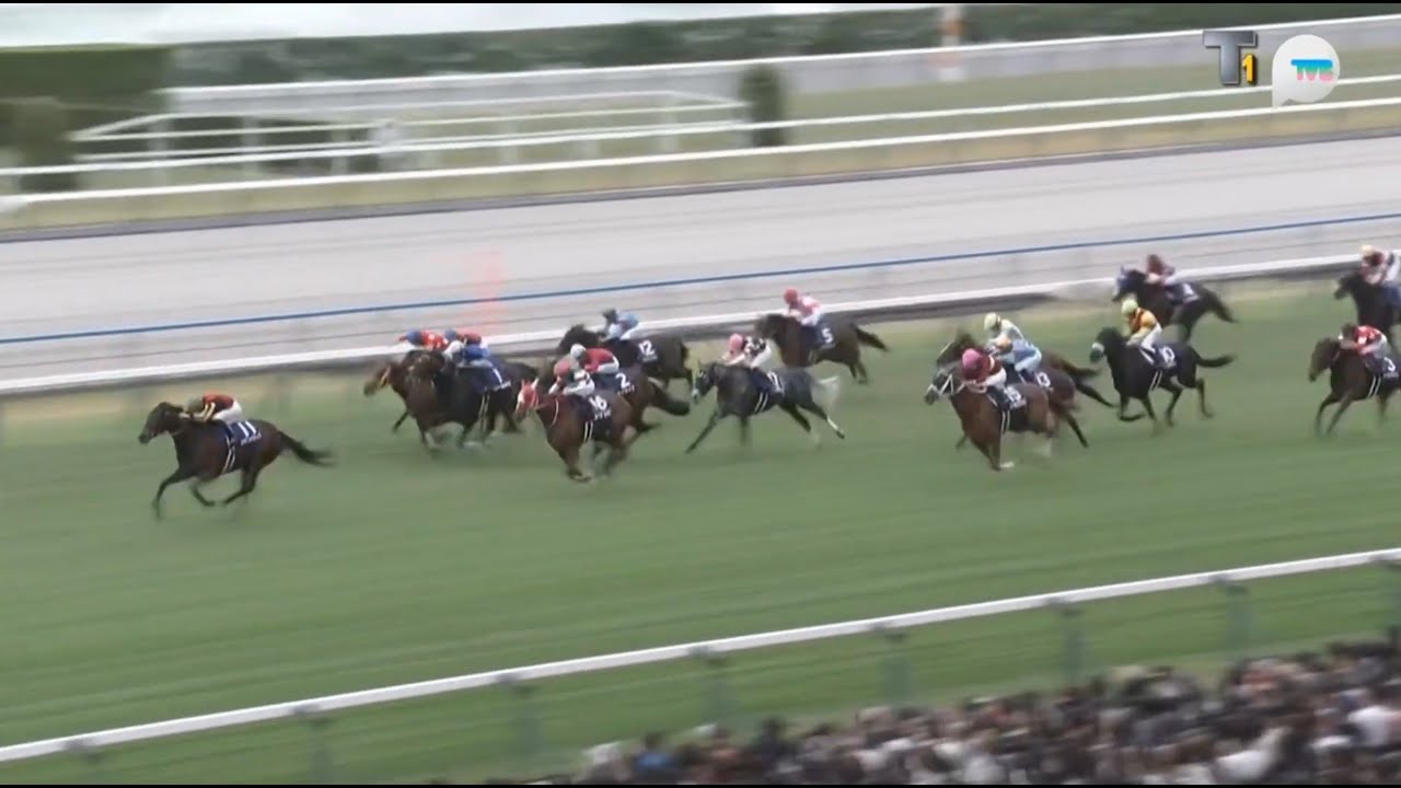 日本女皇伊利沙伯二世盃 Queen Elizabeth II Cup 一級賽 G1 2200m 2024-11-10 艷玫華彩 Stunning Rose 京都競馬場 Kyoto Racecourse