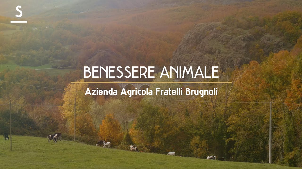 Scaglie presenta: Azienda Agricola Fratelli Brugnoli