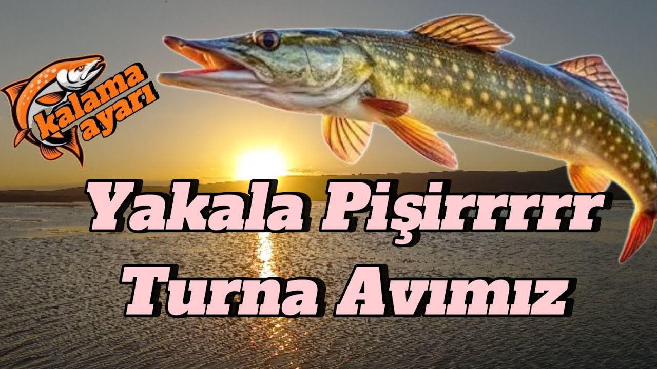 Kızılırmak köprüköyde yakala Pişir turna avı (Our Catch and Cook pike catch in Kızılırmak Köprüköy)