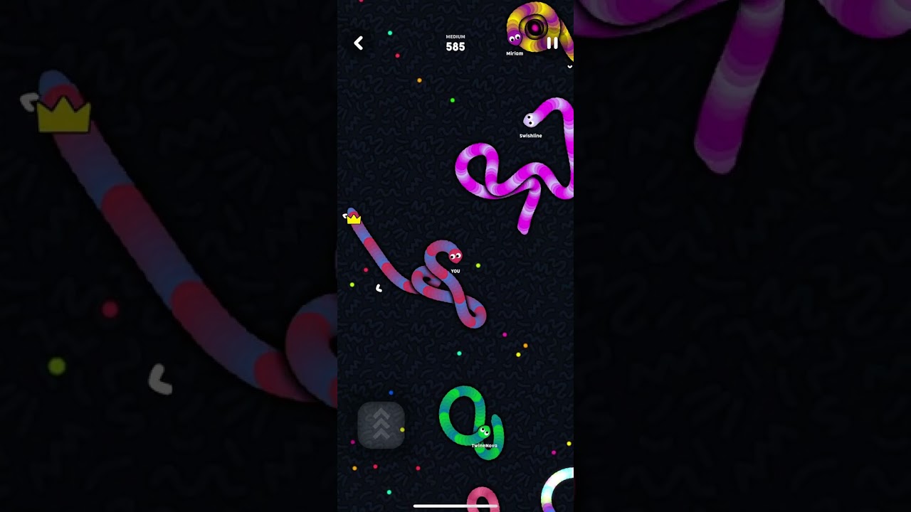 Funtastic Friday - Offline Games - Snakes - Gameplay