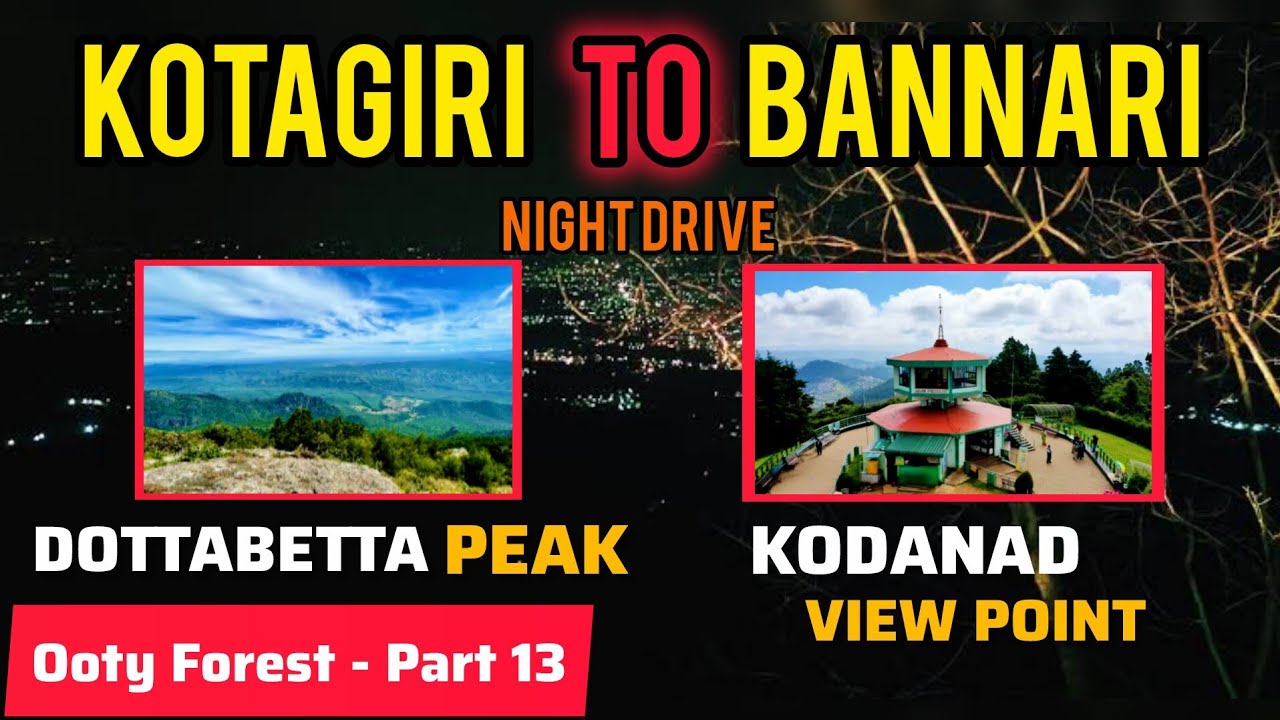 கோத்தகிரி To பண்ணாரி | Night Travel | Dottabetta | Kodanad last Full Fun | Ooty Adventure - Part 13 