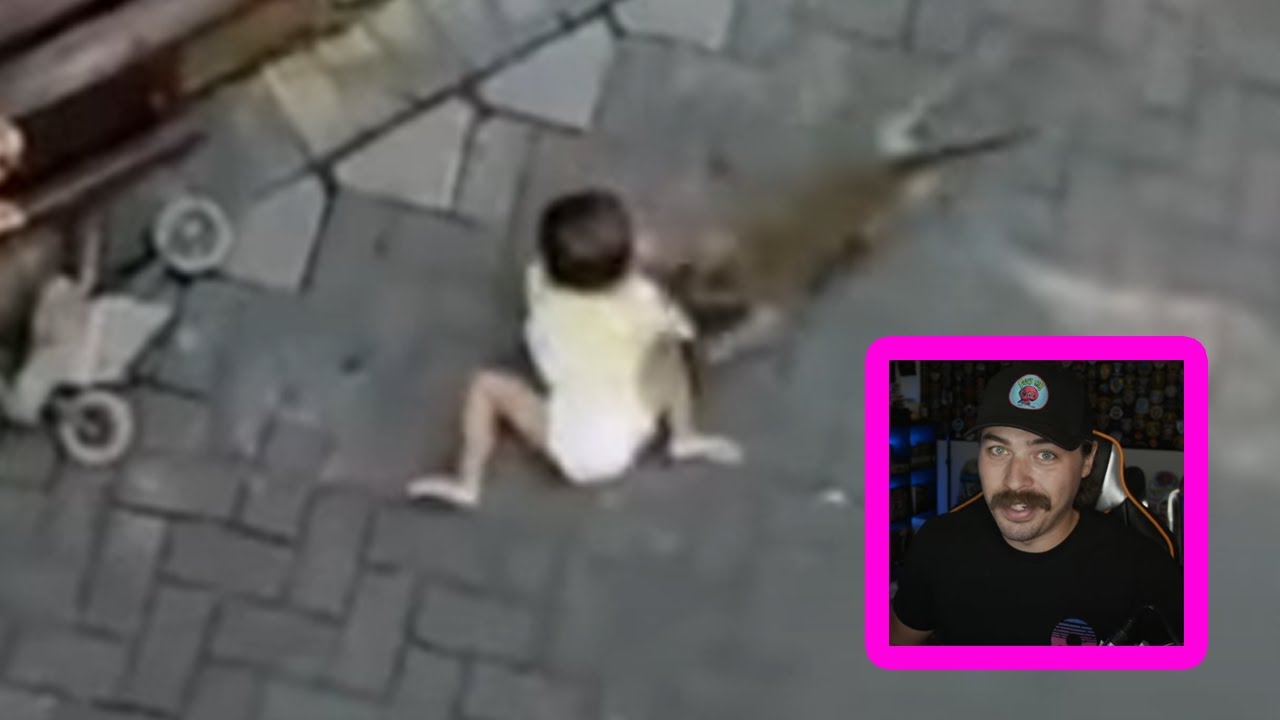 monkey on a motorcycle STEALS BABY - LEO recap