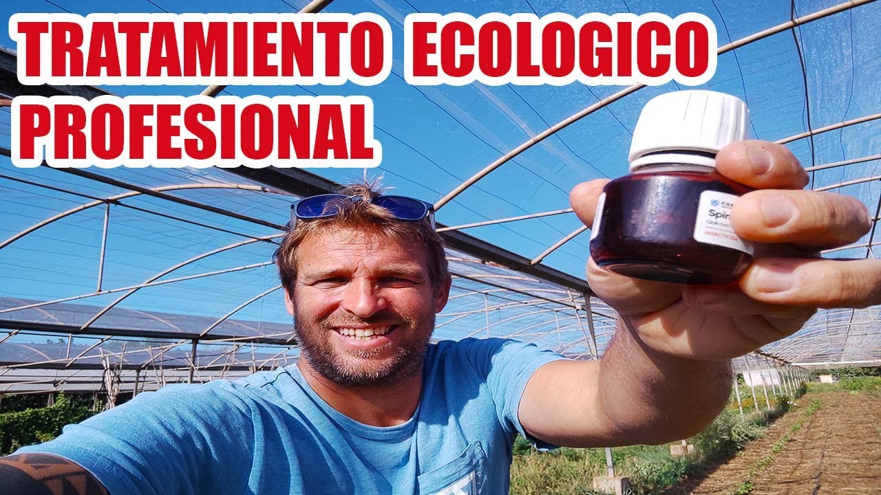TRATAMIENTO ECOLOGICO PROFESIONAL Y SU ALTERNATIVA CASERA