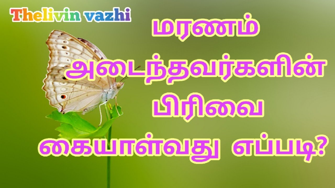 மரணமடைந்தவர்களின் பிரிவை கையாள்வது எப்படி?  How to deal with the separation of loved ones?