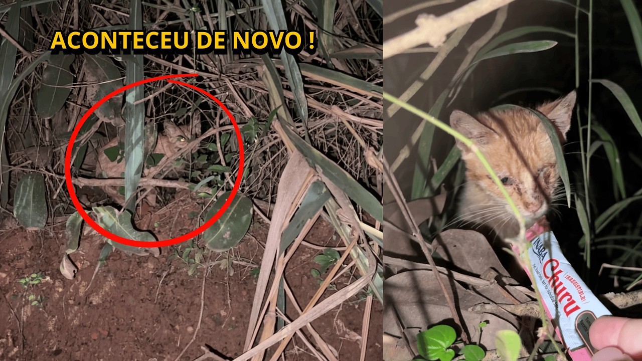 Tivemos uma supresa antes da mudan&ccedil;a 🙆&zwj;♂️