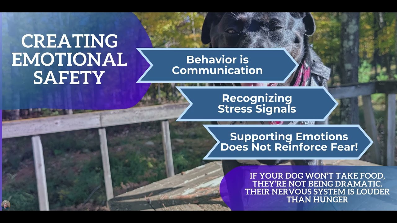 SAFE & Less Distracted