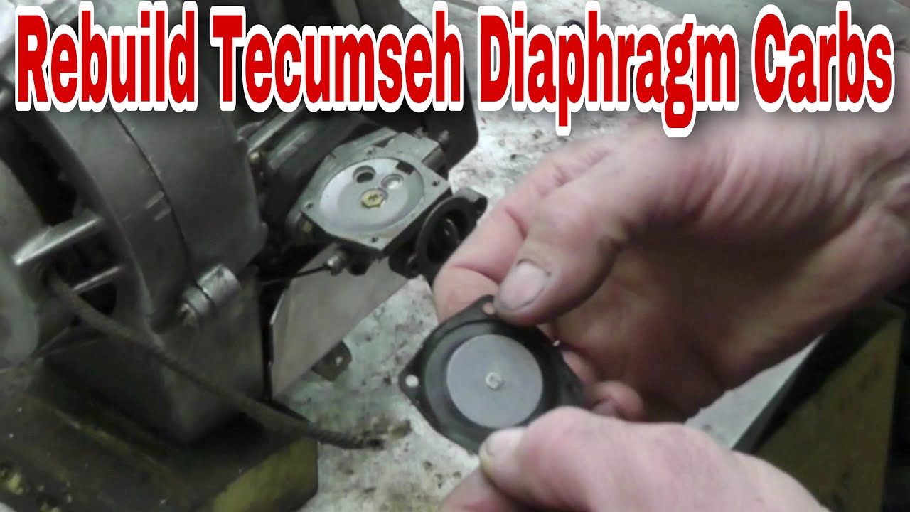 How To Rebuild Tecumseh Diaphragm Carburetors with Taryl