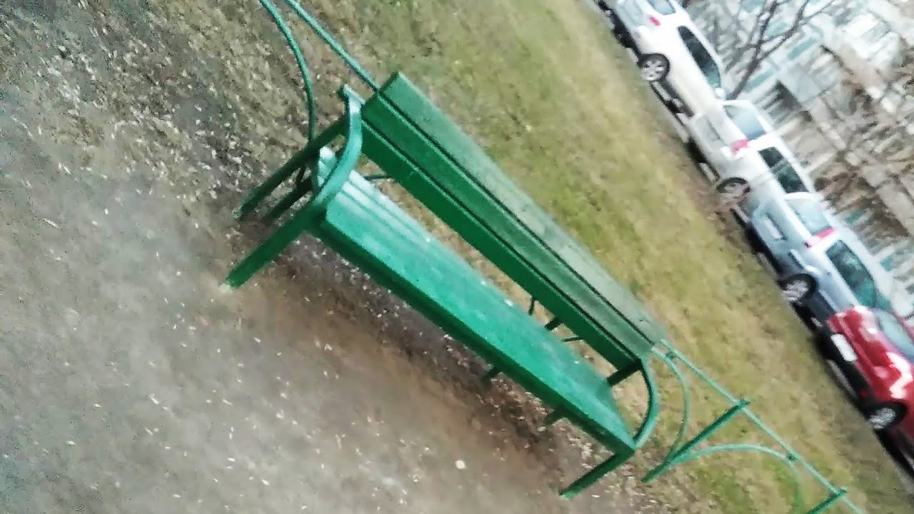 Сильв Шарон и ЛАВОЧКА