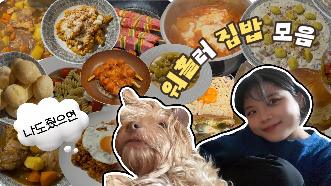 한달 생활비 30만원으로 생존하는 워홀러👩‍🍳 장보기 꿀팁, 추천 요리, 밀프렙 방법, 유럽 현실물가ㅣ스페인 워킹홀리데이 EP.11