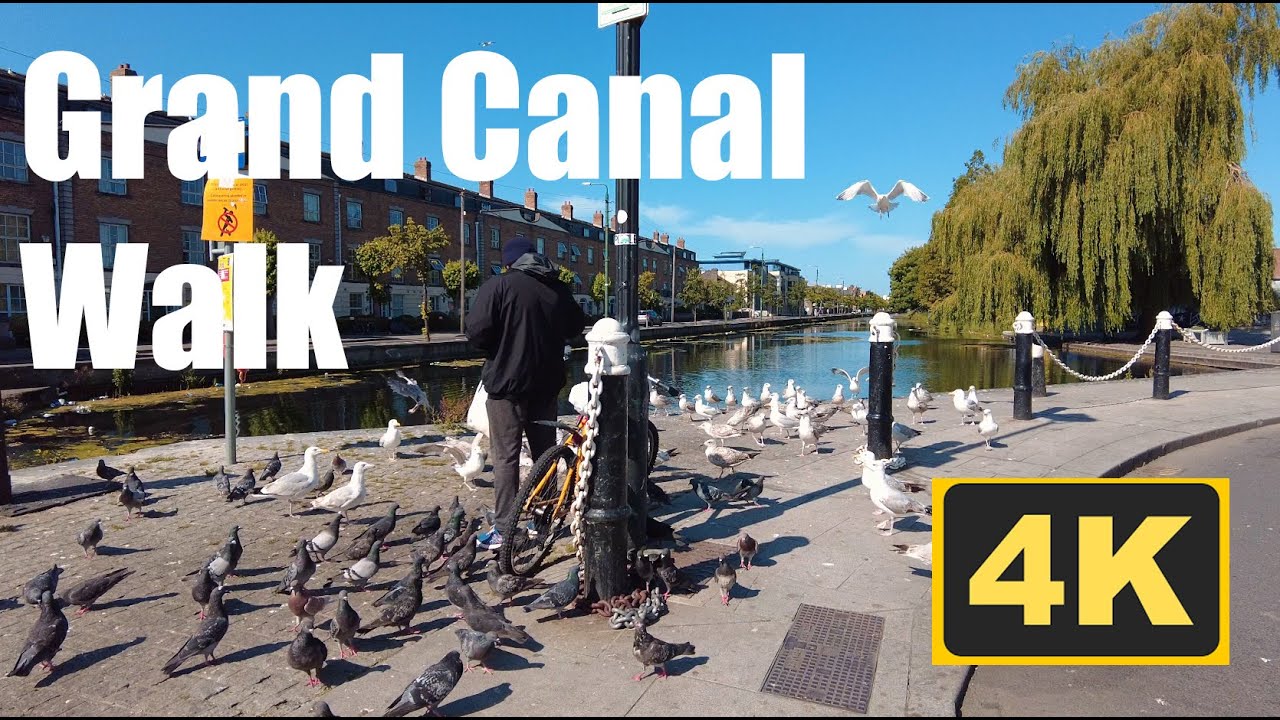 WALKING IRELAND :  Walking Grand Canal SOUTH Dublin  - 4k Cinematic Video, IRELAND