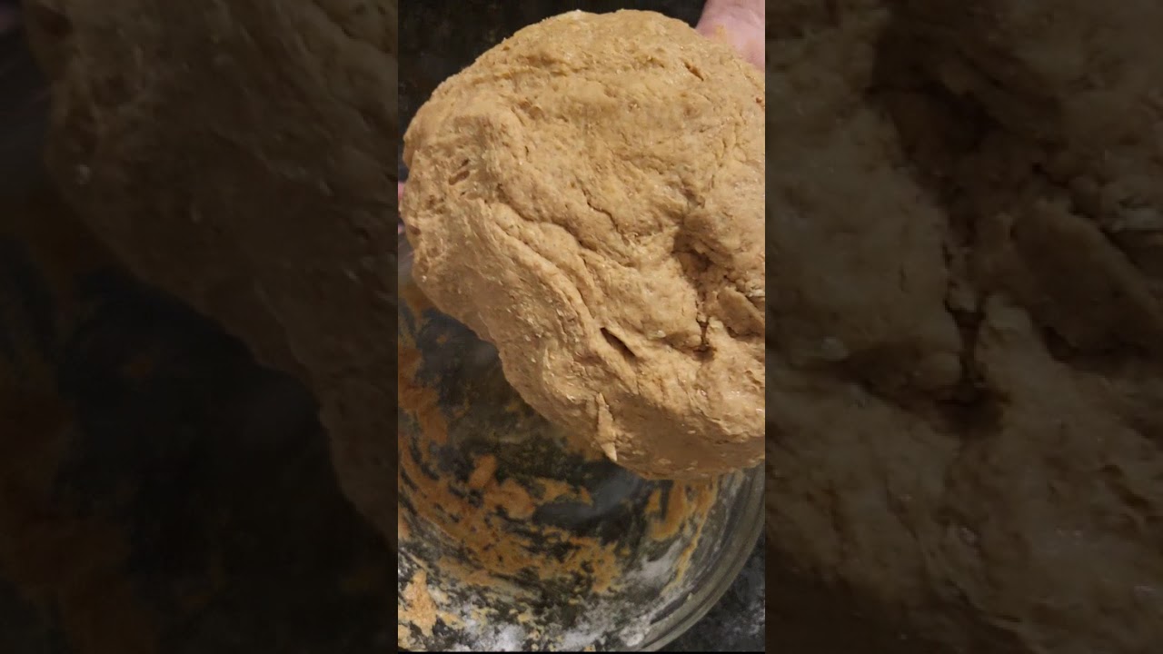 How to make Whole wheat bread 