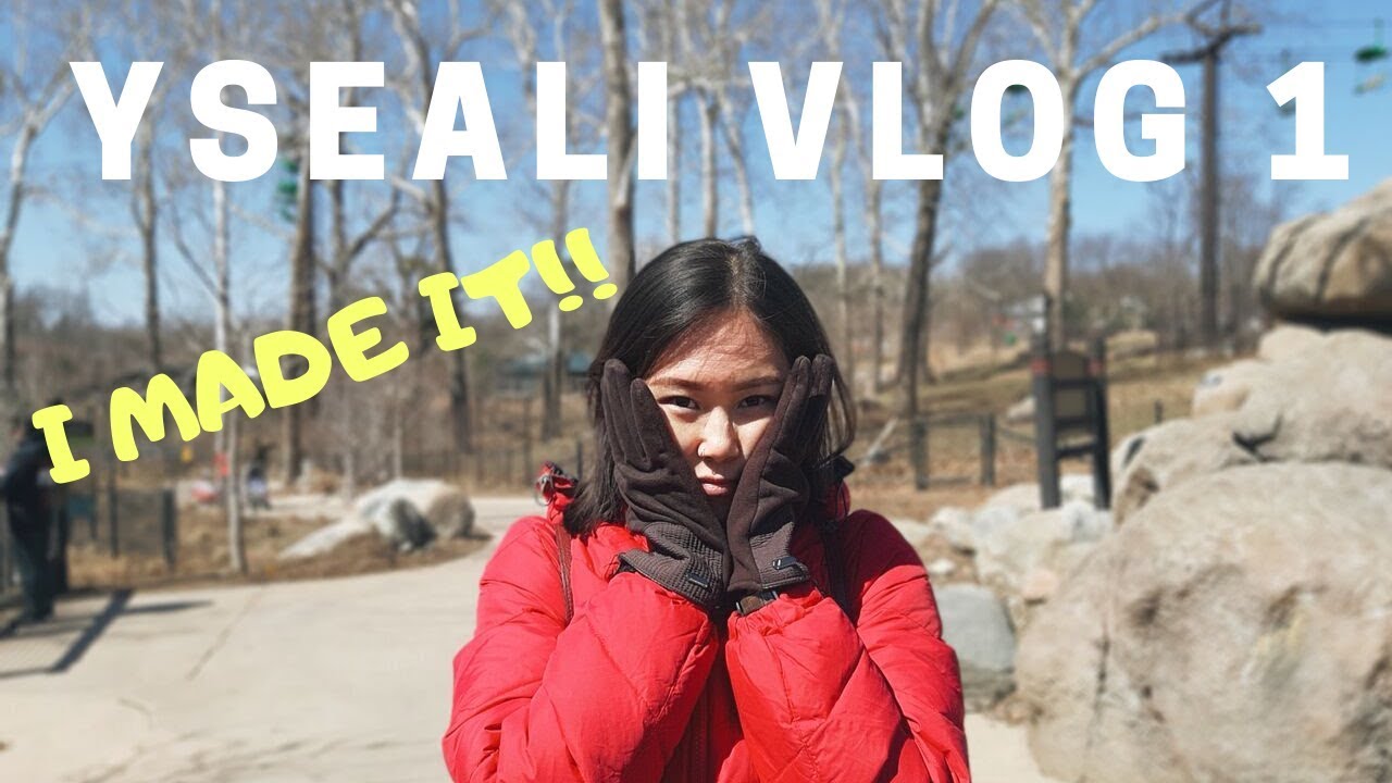 YSEALI Vlog 1 - I Made It!