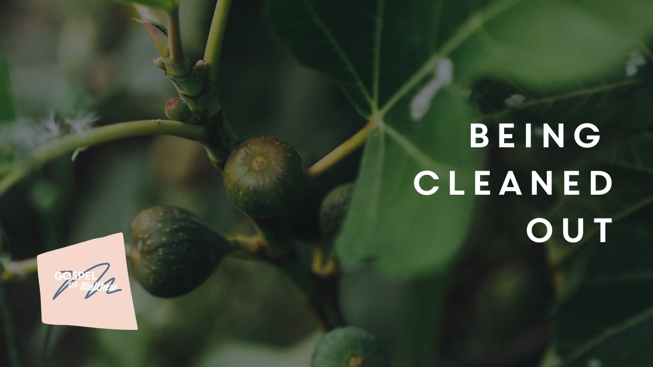 Being Cleaned Out | Matthew 21:12-22