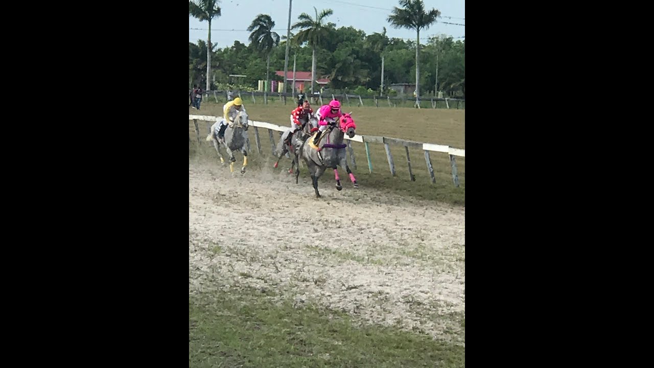 Horse Race Castleton Race Track 7 Furlong July 21, 2019