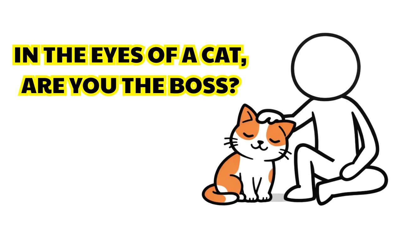 How Do Cats Really Perceive You? 🐱