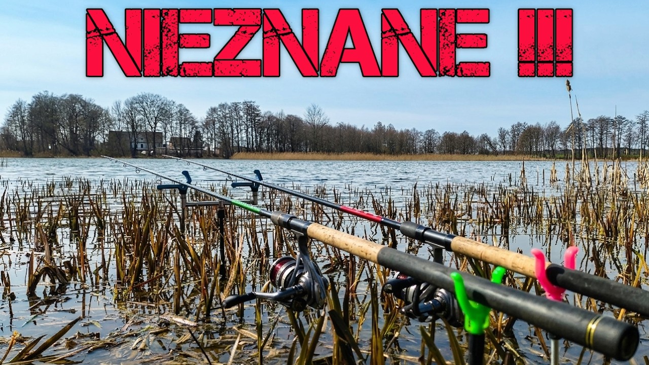 Kompletna Petarda !! Dzikie Stanowisko !! Musiałem Spr&oacute;bować !! Method Feeder Na Pzw !! Wędkarstwo