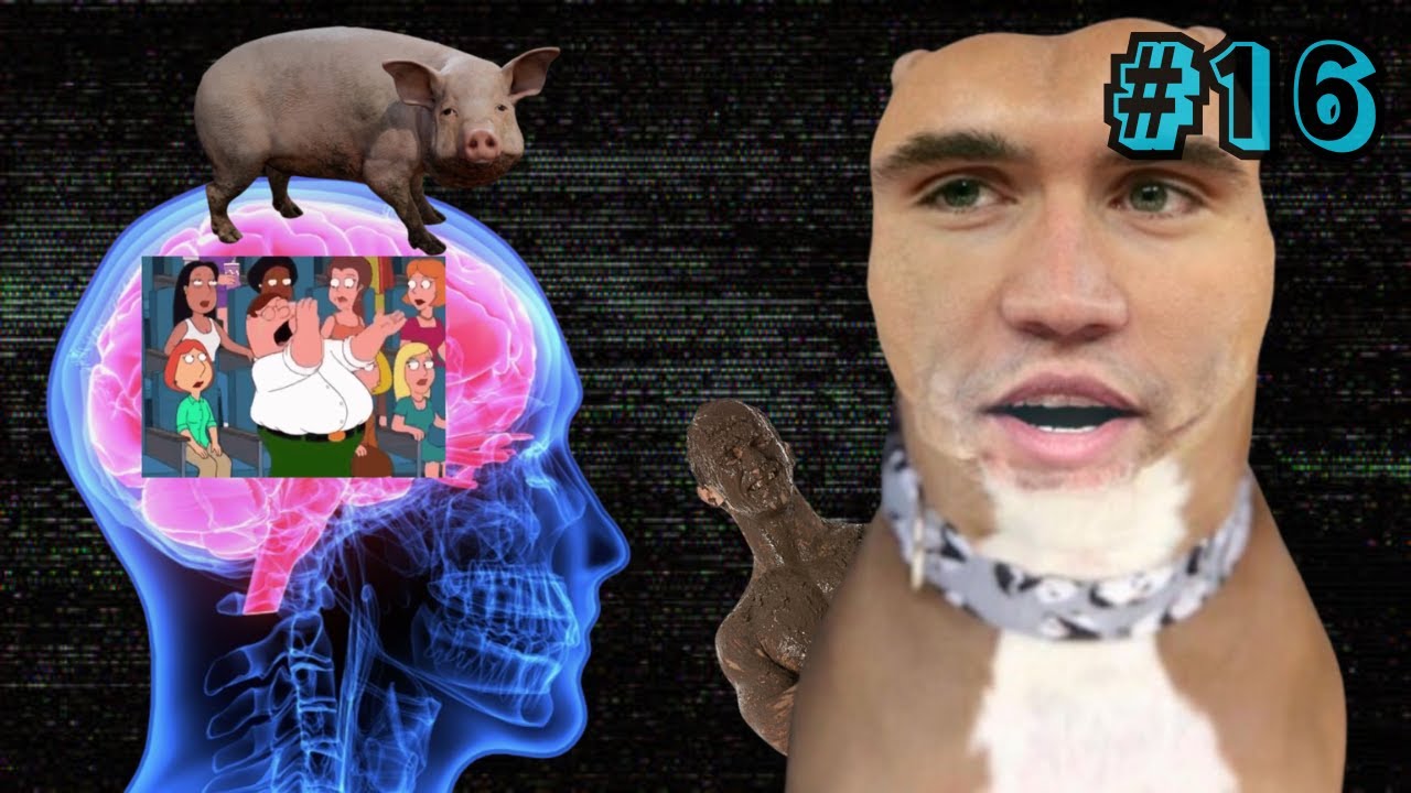 Clips From My Hard Drive #16: New Years Special