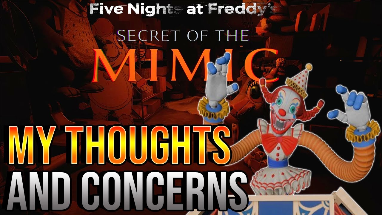 My Concerns About The Mimic