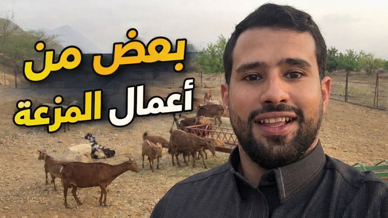 توصيل مواصير للفقاسه وترتيب البيض خطه عدم استخدام العلاجات للماعز 