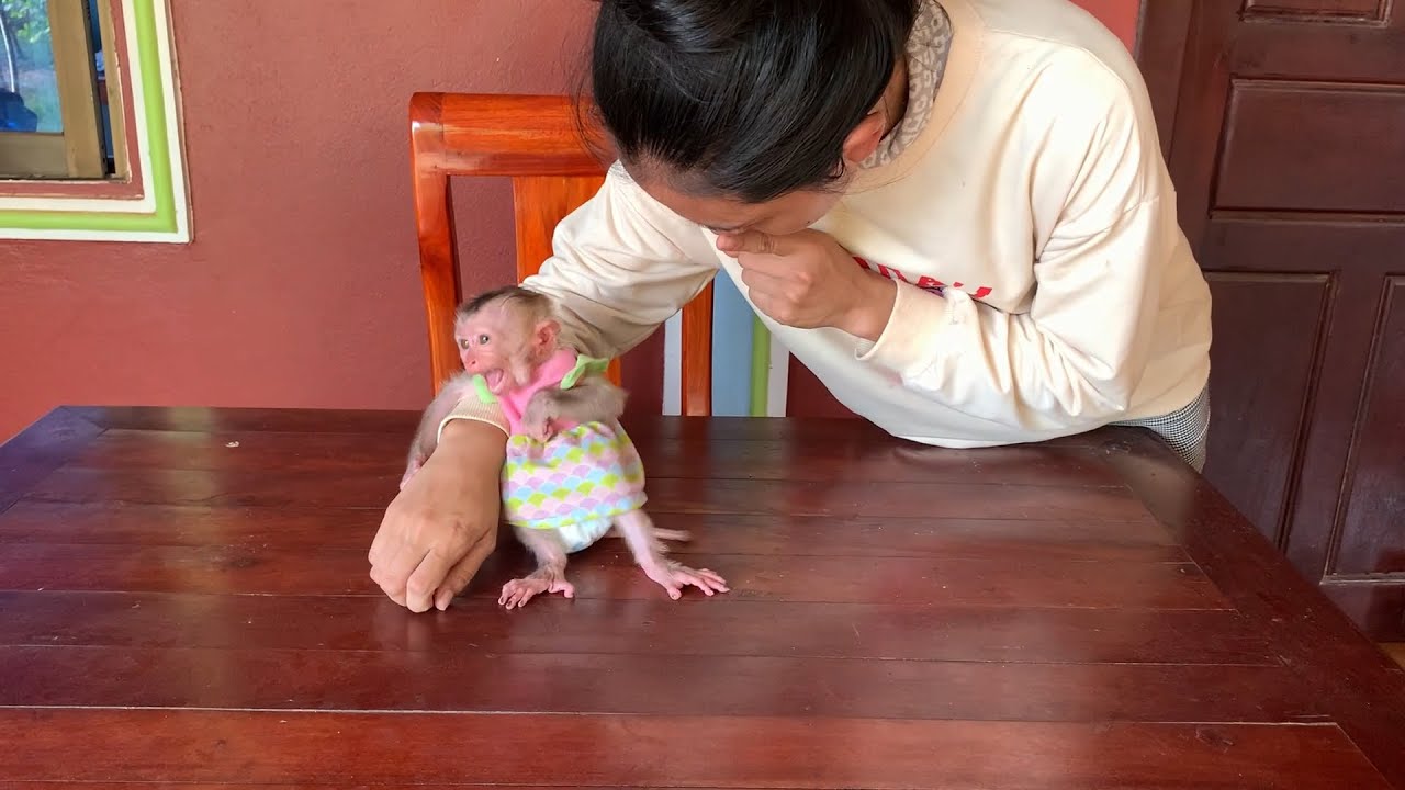 hhhh..!! Super BB mnkey c..yii loudly anqrrii mom put her sit on the table
