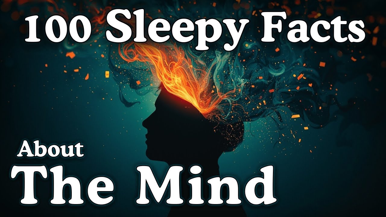 100 Relaxing Facts About The Mind to Fall Asleep To