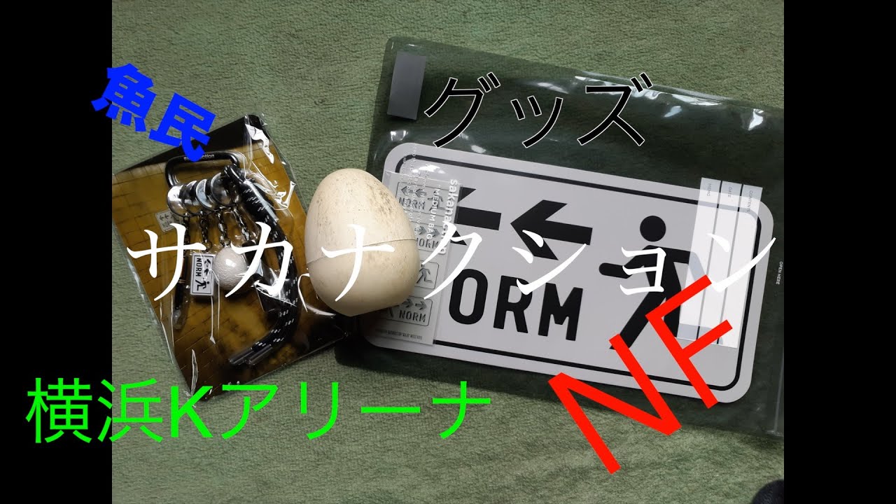 サカナクション横浜Kアリーナグッズが届いたから紹介するぞ！！