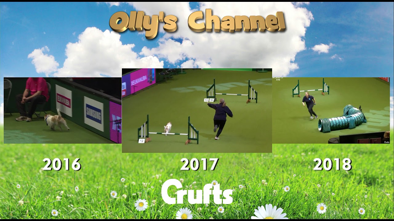 Olly the Jack Russell - The Crufts Trilogy