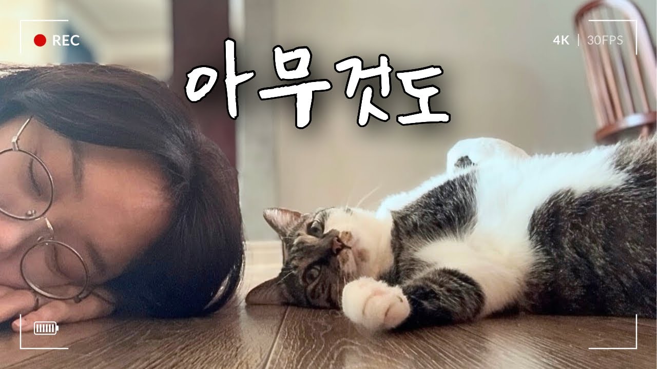 아~무것도 하기 싫어서 아~무것도 안하기 | 힐링맛이네