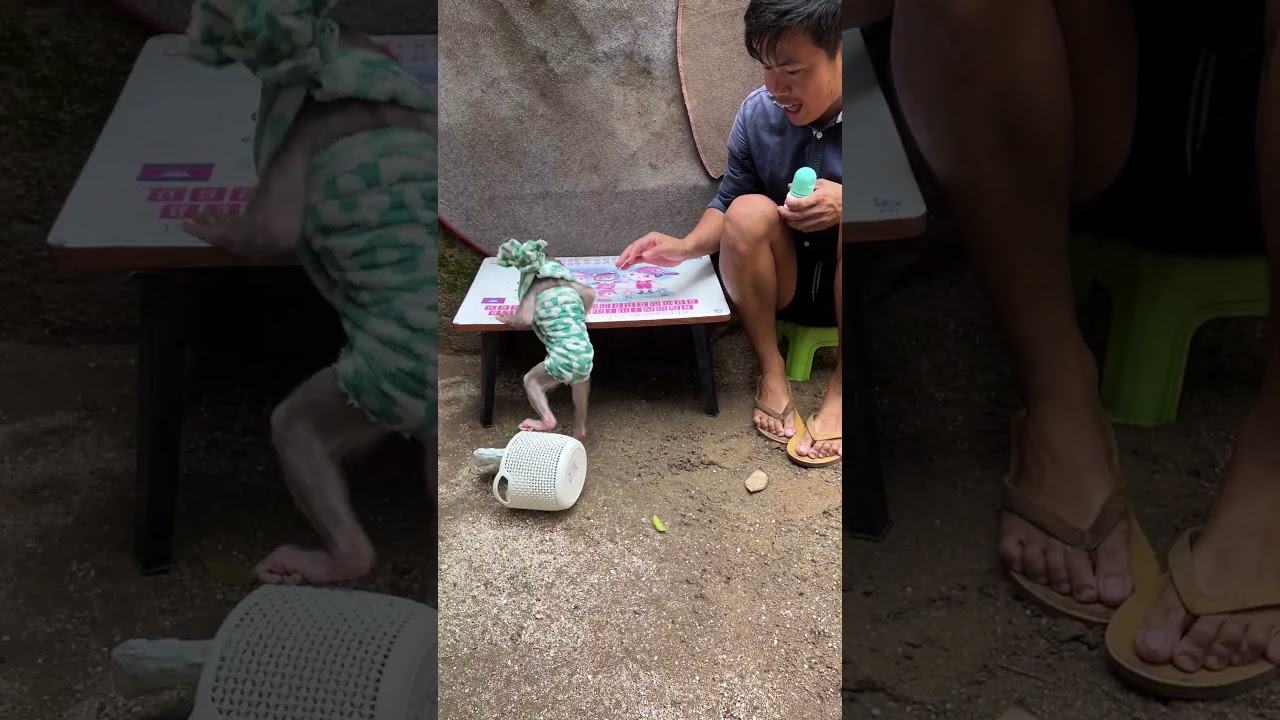 Minea Walk fast #babyanimal #babymonkey #cute