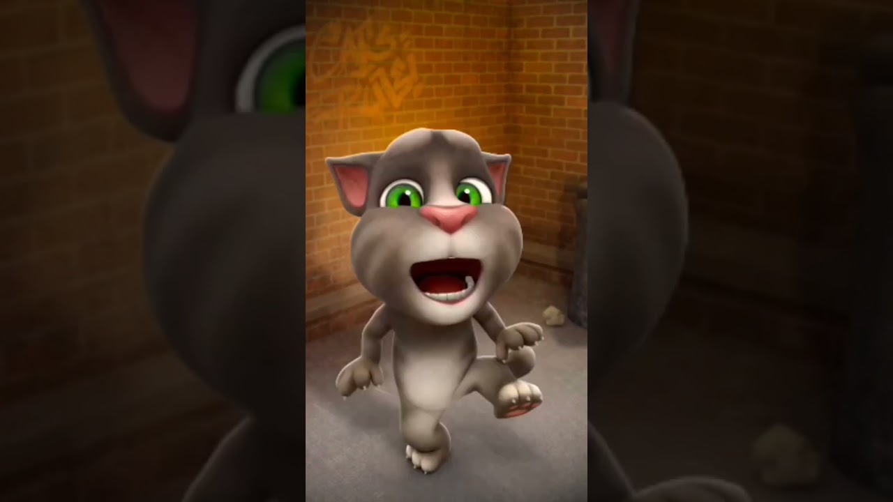 Tom ka moja 😊😊😊#shorts #youtubeshorts #tom #cat #cartoon