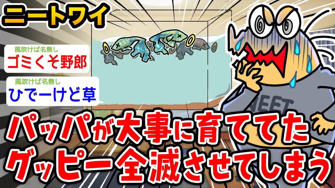 【バカ】ニートワイ、父親が大事に育ててたグッピーを全滅させてしまうwwwww【2ch面白いスレ】
