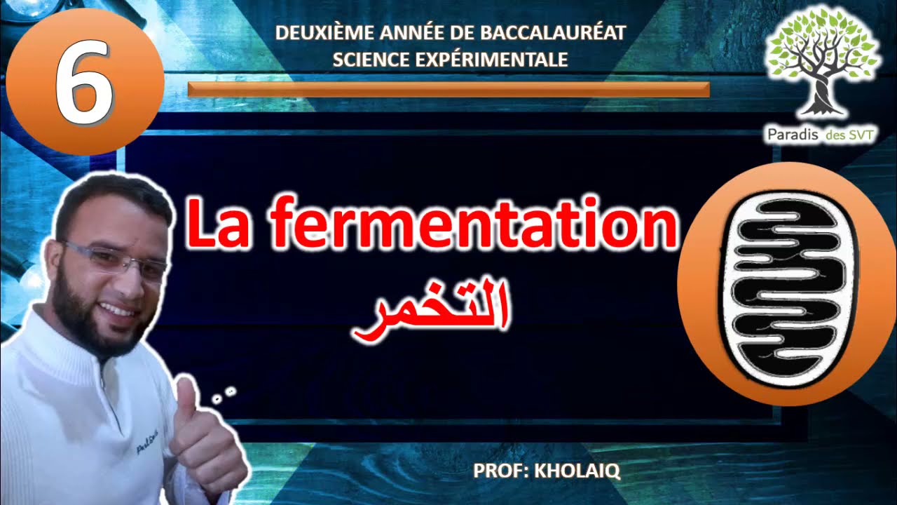 la fermentation