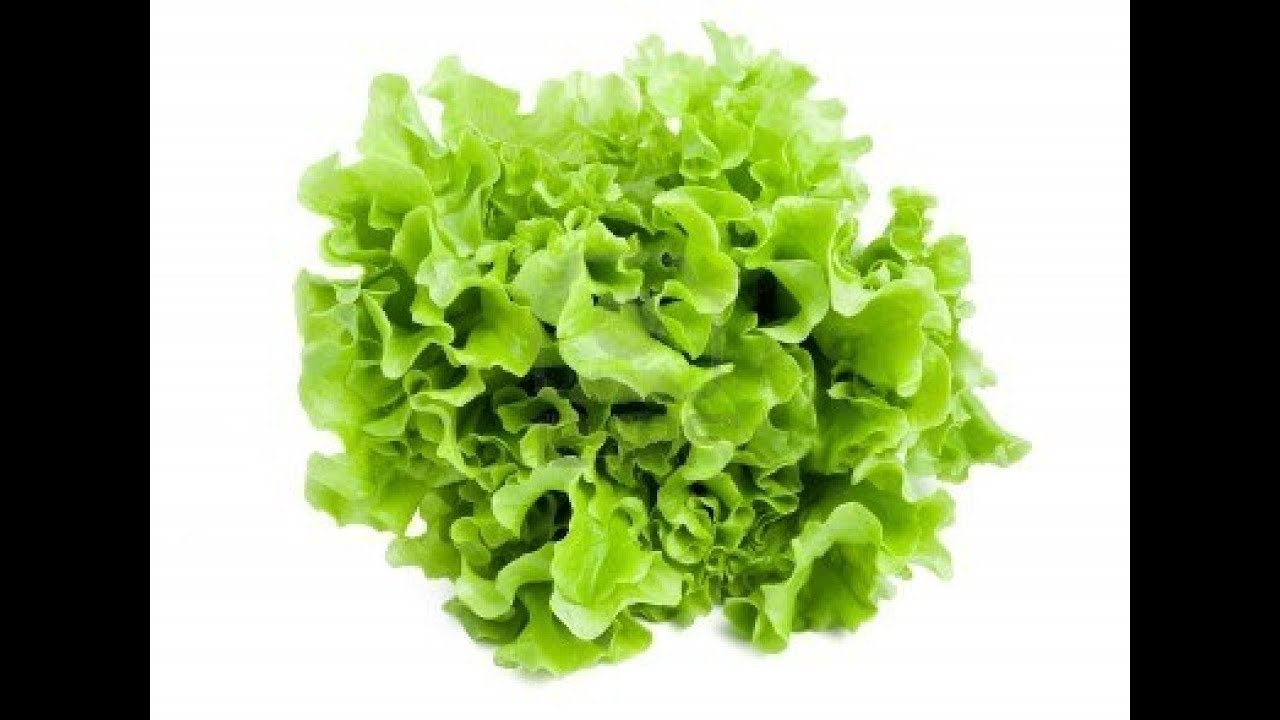 ¿Cómo desinfectar la lechuga?