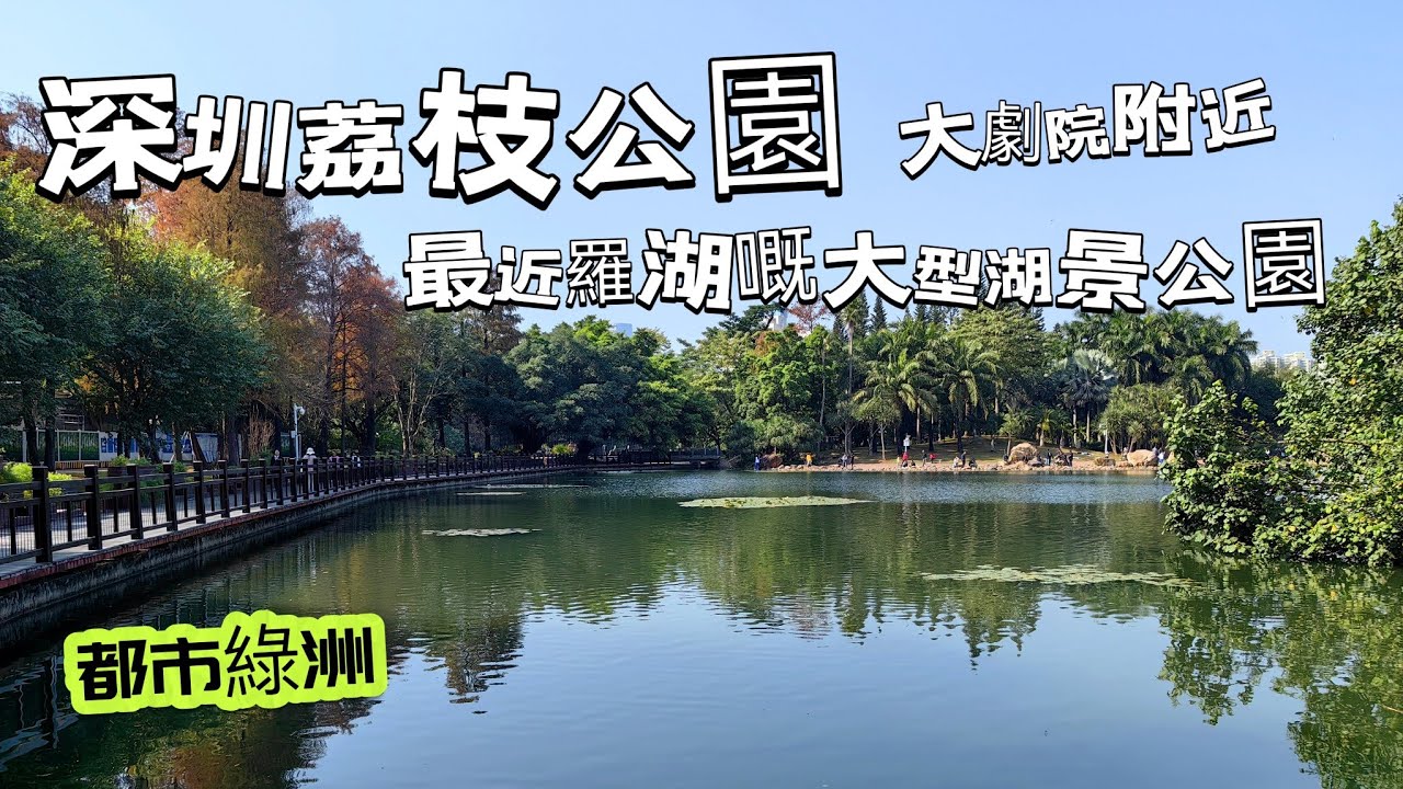 20250110 深圳荔枝公園，最近羅湖的湖景公園，原來咁靚，大劇院隔離，去深圳行商場時，一定要去行下，好有驚喜。