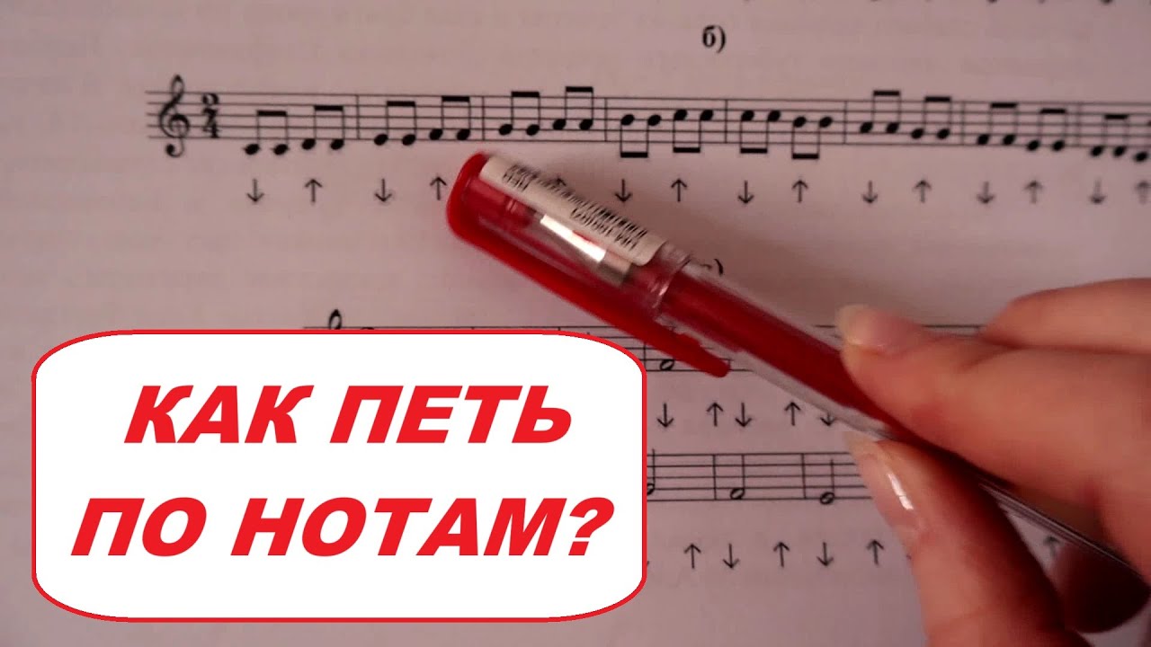 19. КАК ПЕТЬ ПО НОТАМ, ЧТЕНИЕ С ЛИСТА: петь гамму с тактированием: СОЛЬФЕДЖИО С НУЛЯ ДЛЯ ВЗРОСЛЫХ