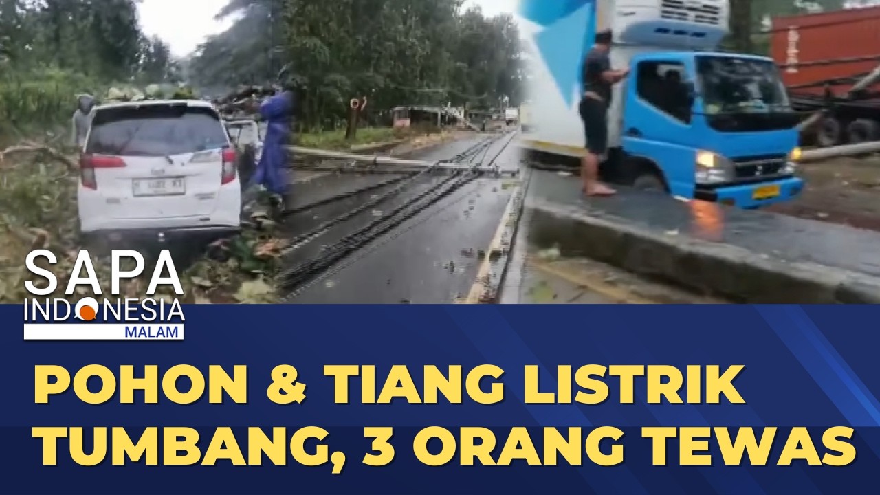 Pohon & Tiang Listrik Roboh Akibat Hujan Lebat di Jalur Pantura Jateng, 3 Orang Tewas | SAPA MALAM