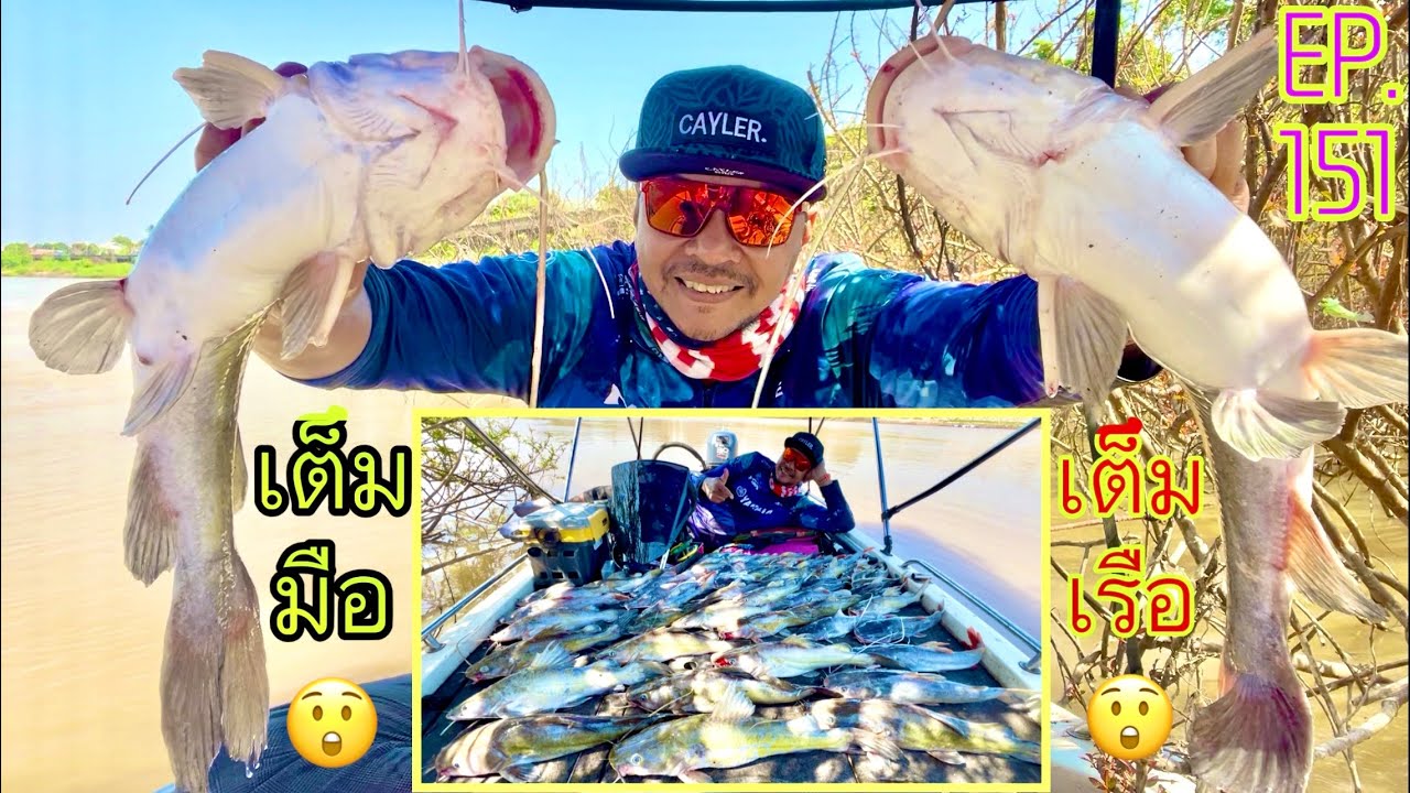 เต็มมือ_เต็มลำเรือ‼️ ตกปลากดเจ้าพระยา_ปลาเพียบเลย😲 (EP.151)