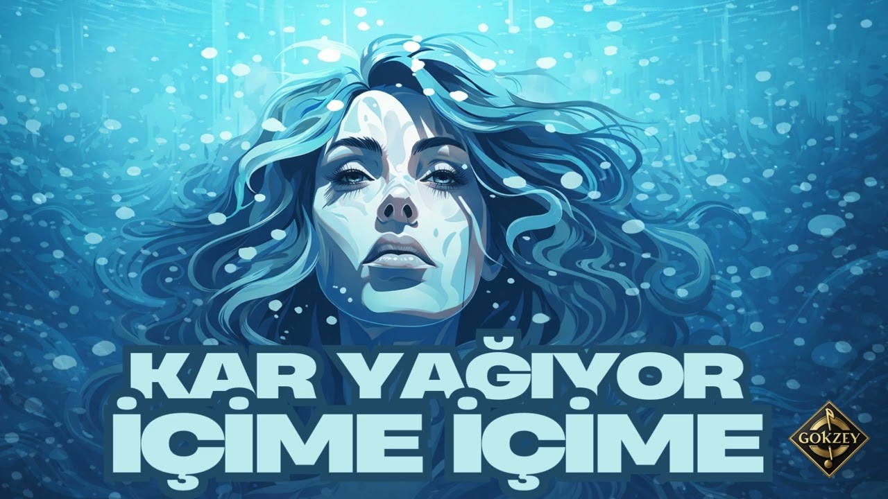 Kar yağıyor içime içime -  GokZey