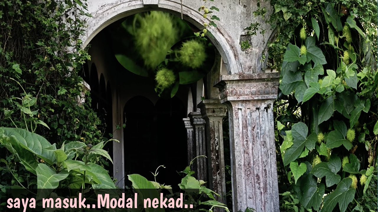 Nekad walaupun ragu...Masuk Rumah Mewah kosong Terbengkalai sambil-cari tanaman hias